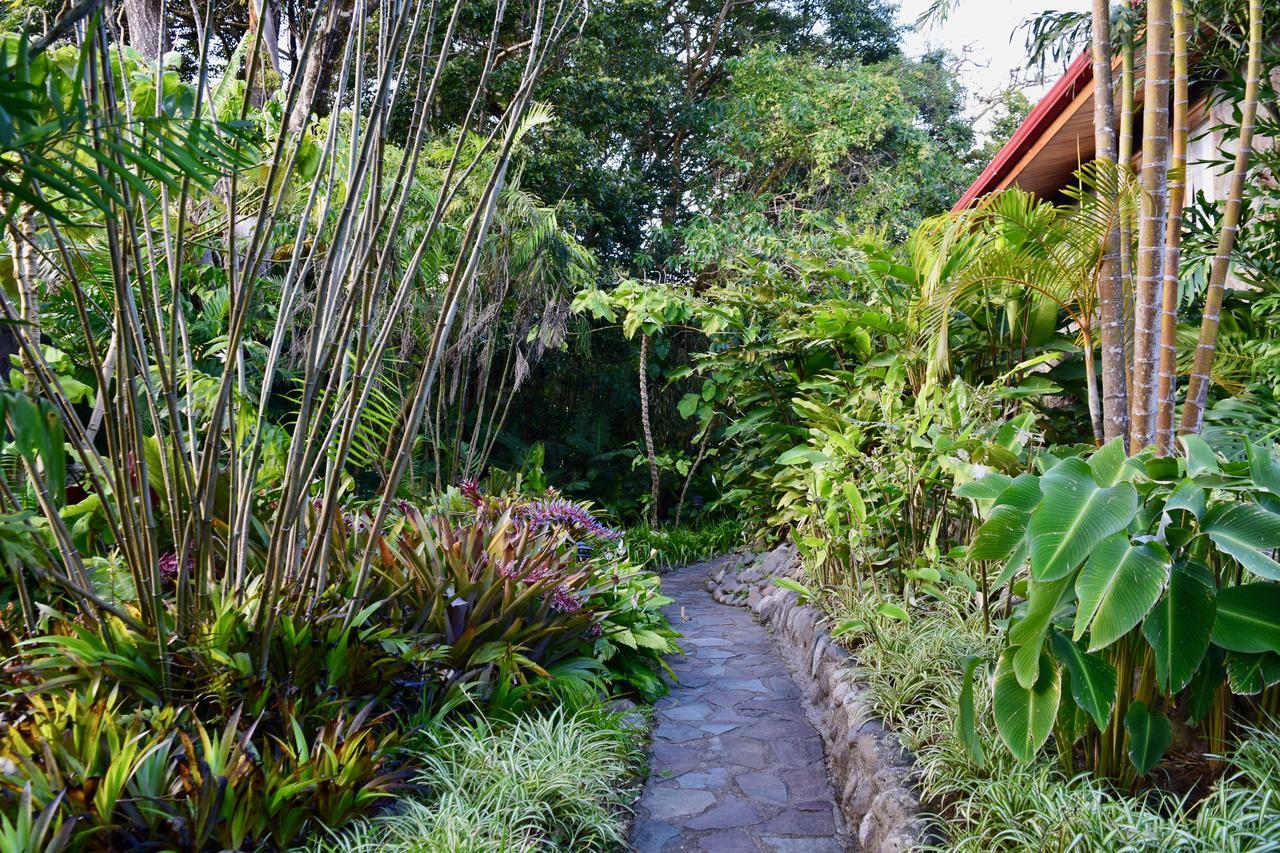 Arco Iris Lodge Monteverde Exterior photo