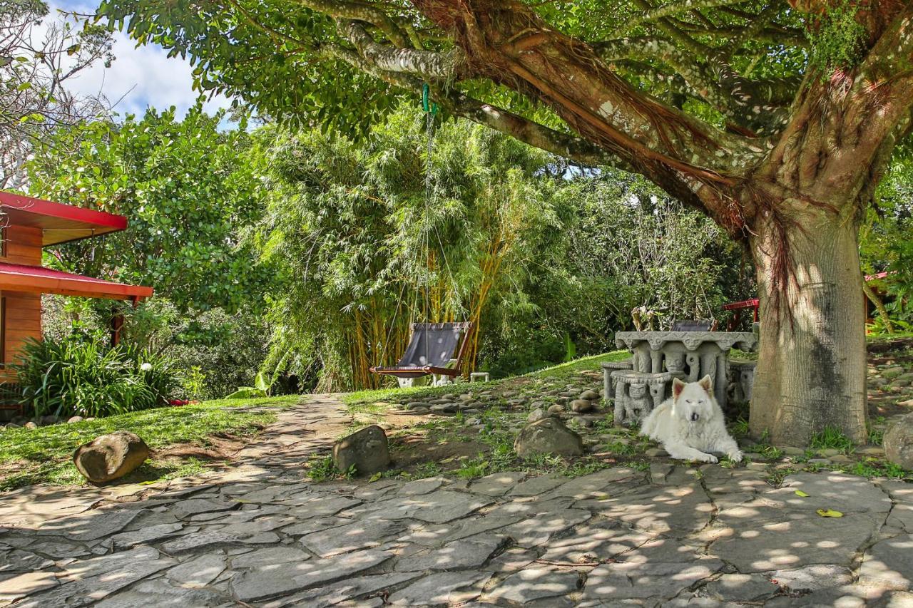 Arco Iris Lodge Monteverde Exterior photo